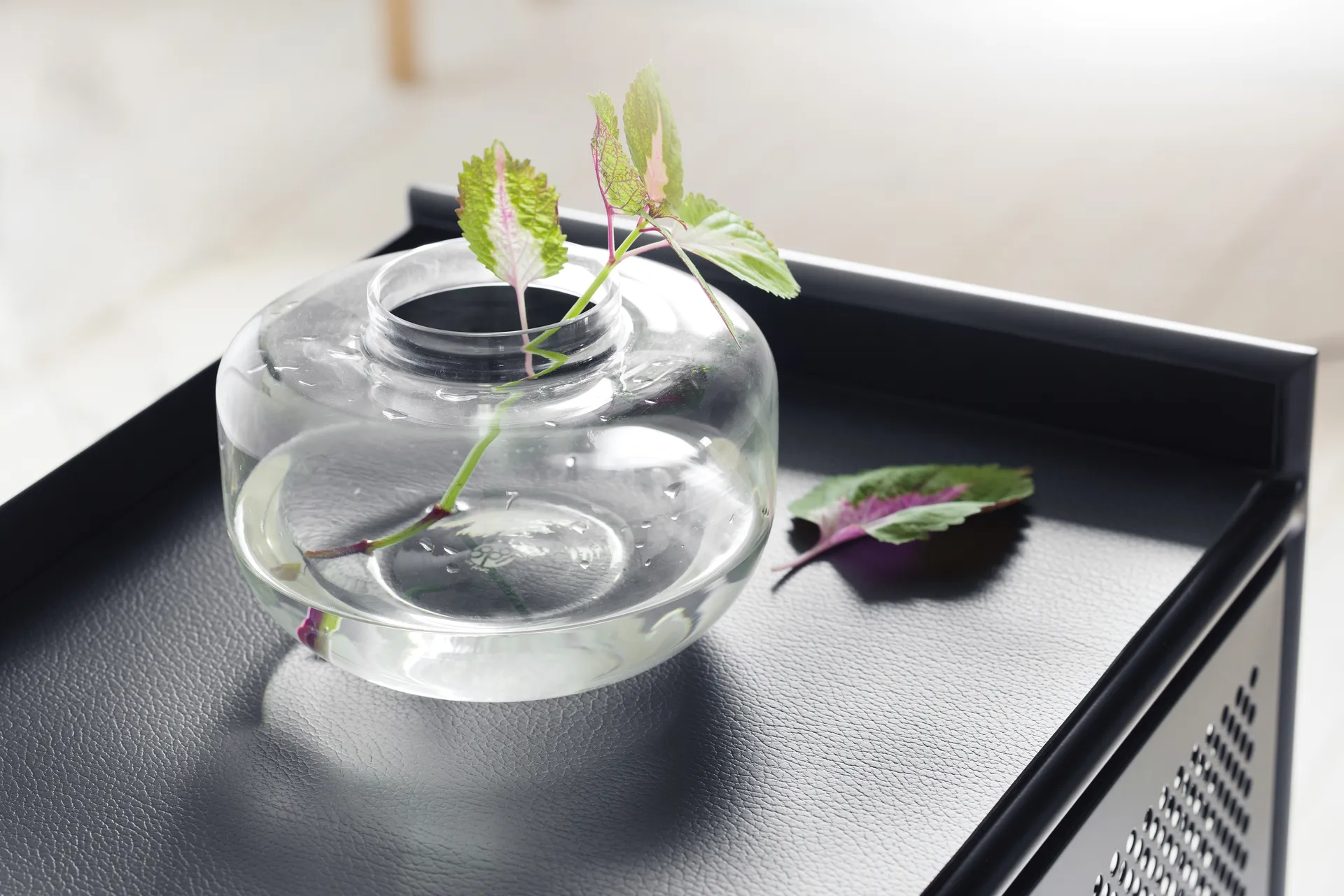 Buffet Hissö, Noir 1898