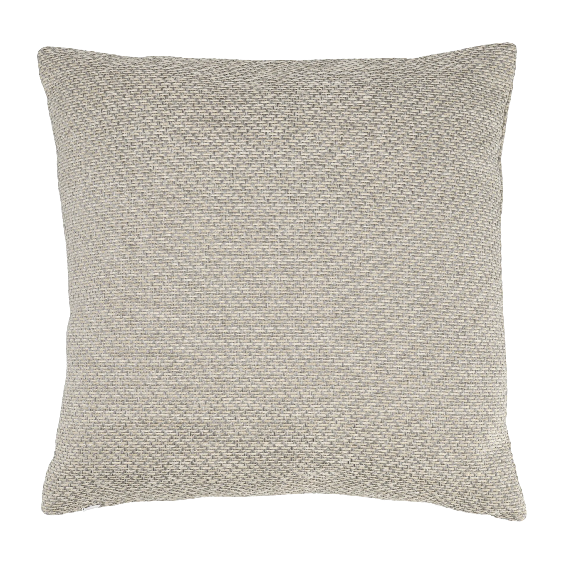 Coussin Asaryd 45x45 cm, Beige 1898