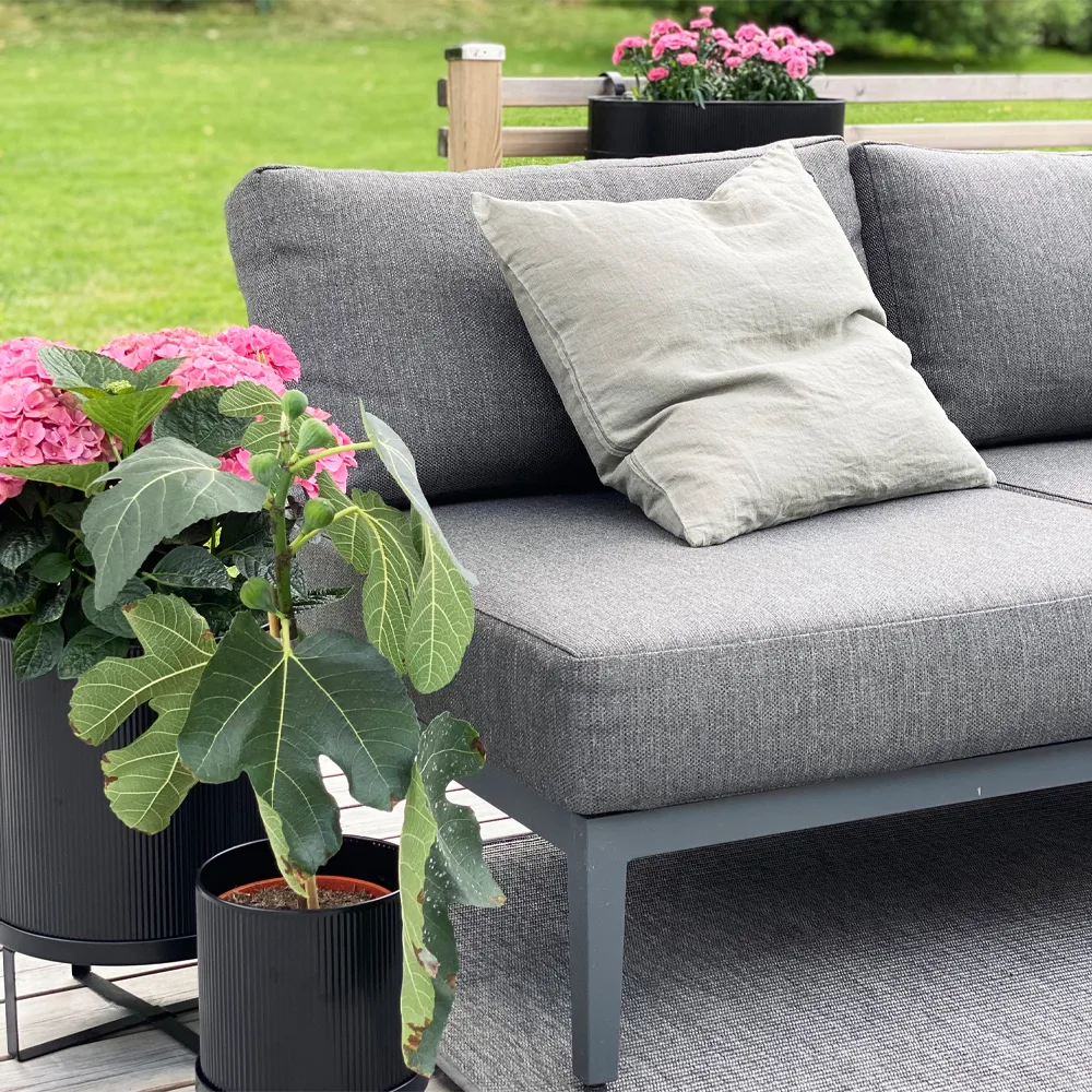 Repose-pieds Santander, Gris 1898