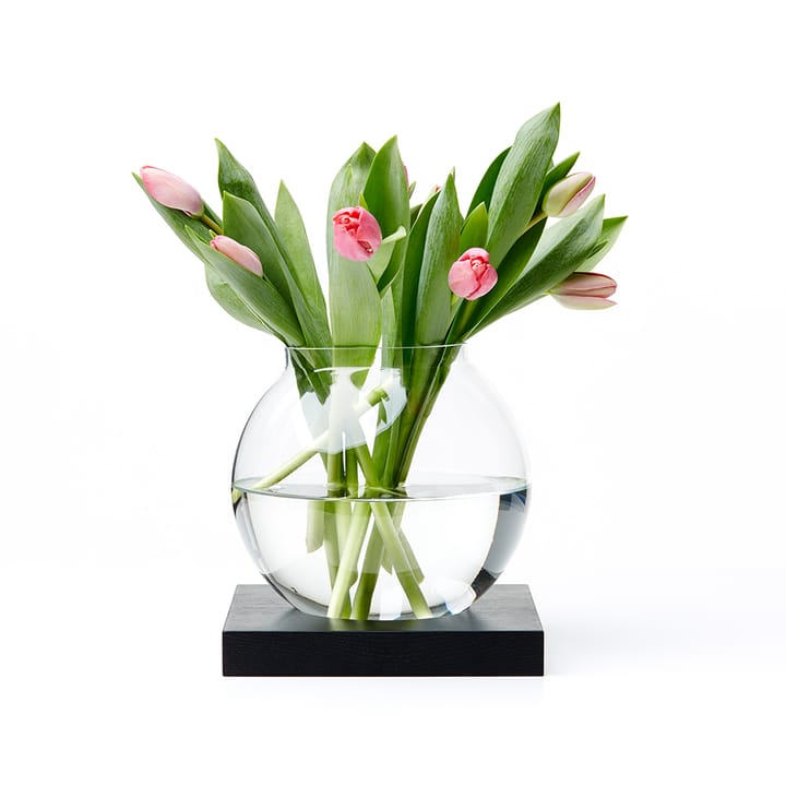 Décoration Space, chêne lasuré noir, verre A2