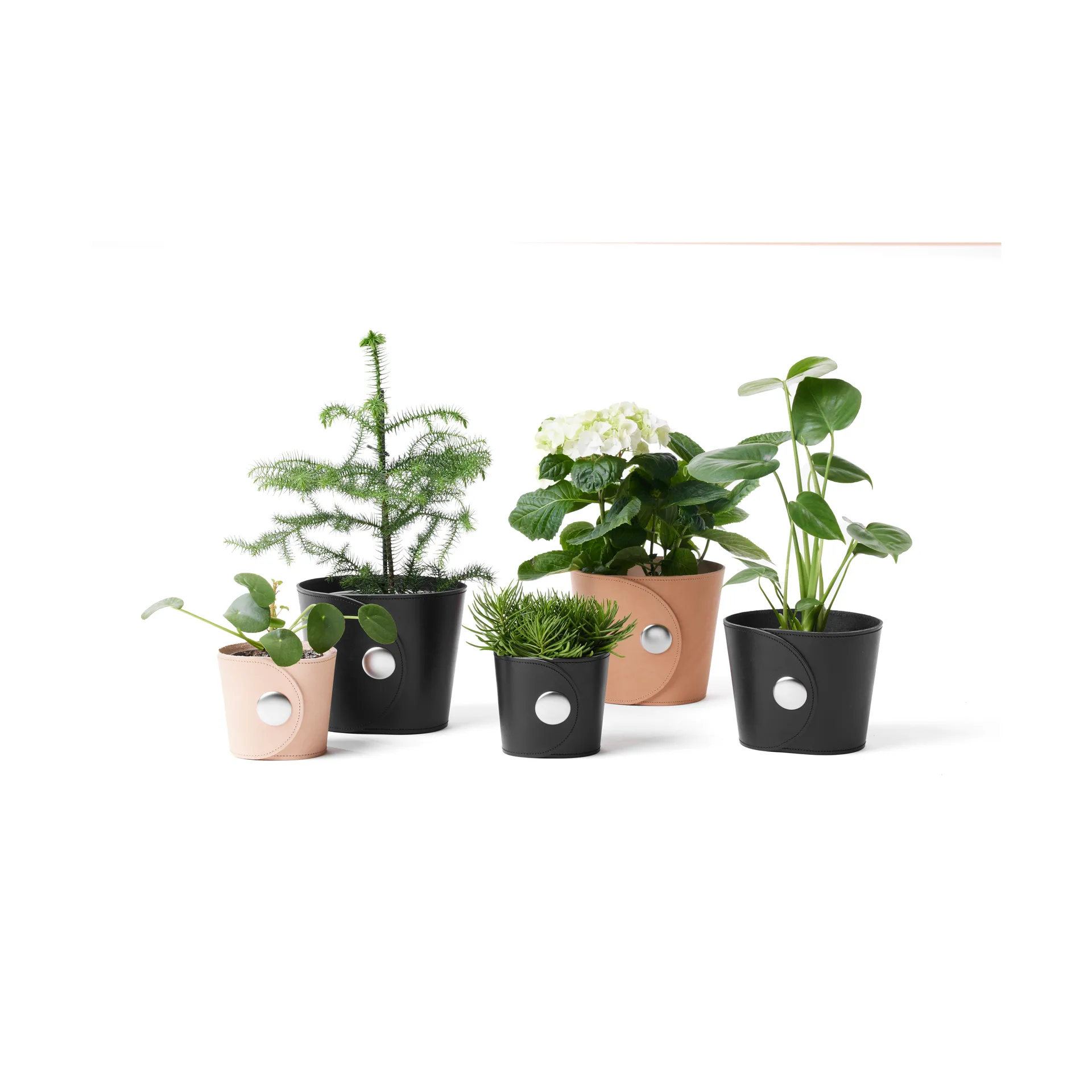 Pot Hug, Cuir Tärnsjö noir, Ø18x15 cm A2