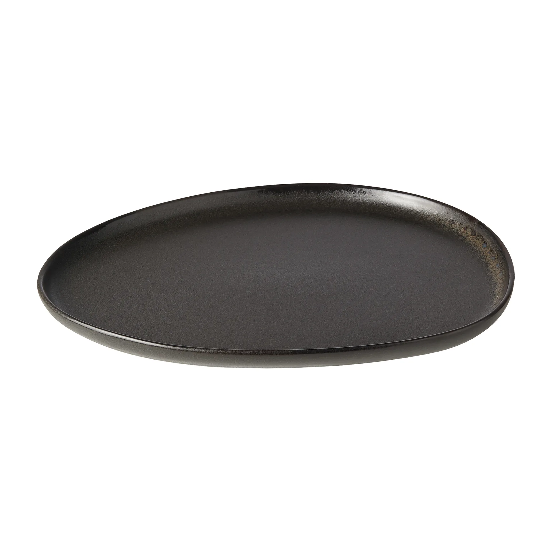 Assiette Raw Organic 24x21 cm, Noir titane Aida