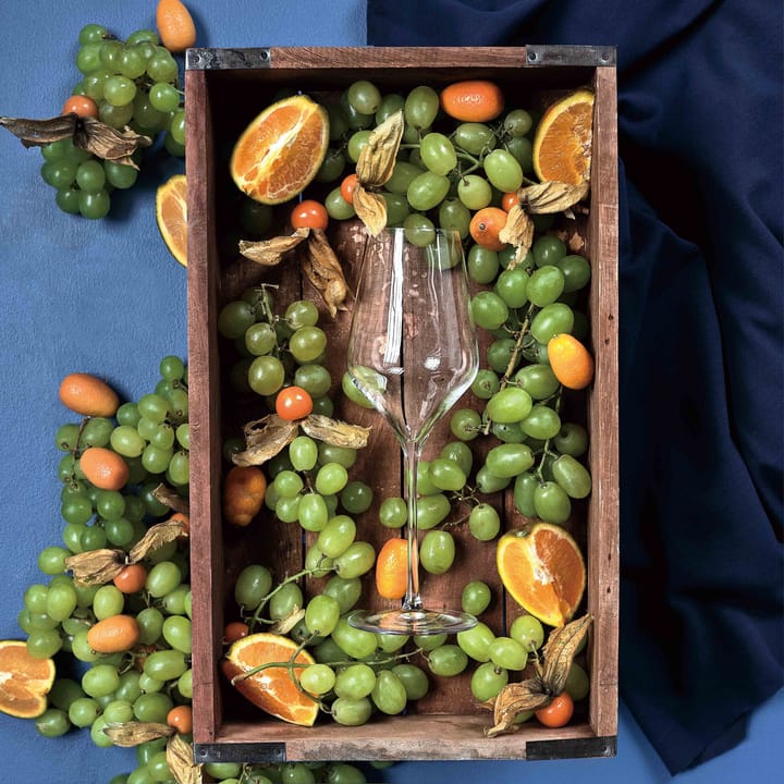 Verre à vin blanc Connoisseur Extravagant 40,5 cl Lot de 4, Clear Aida