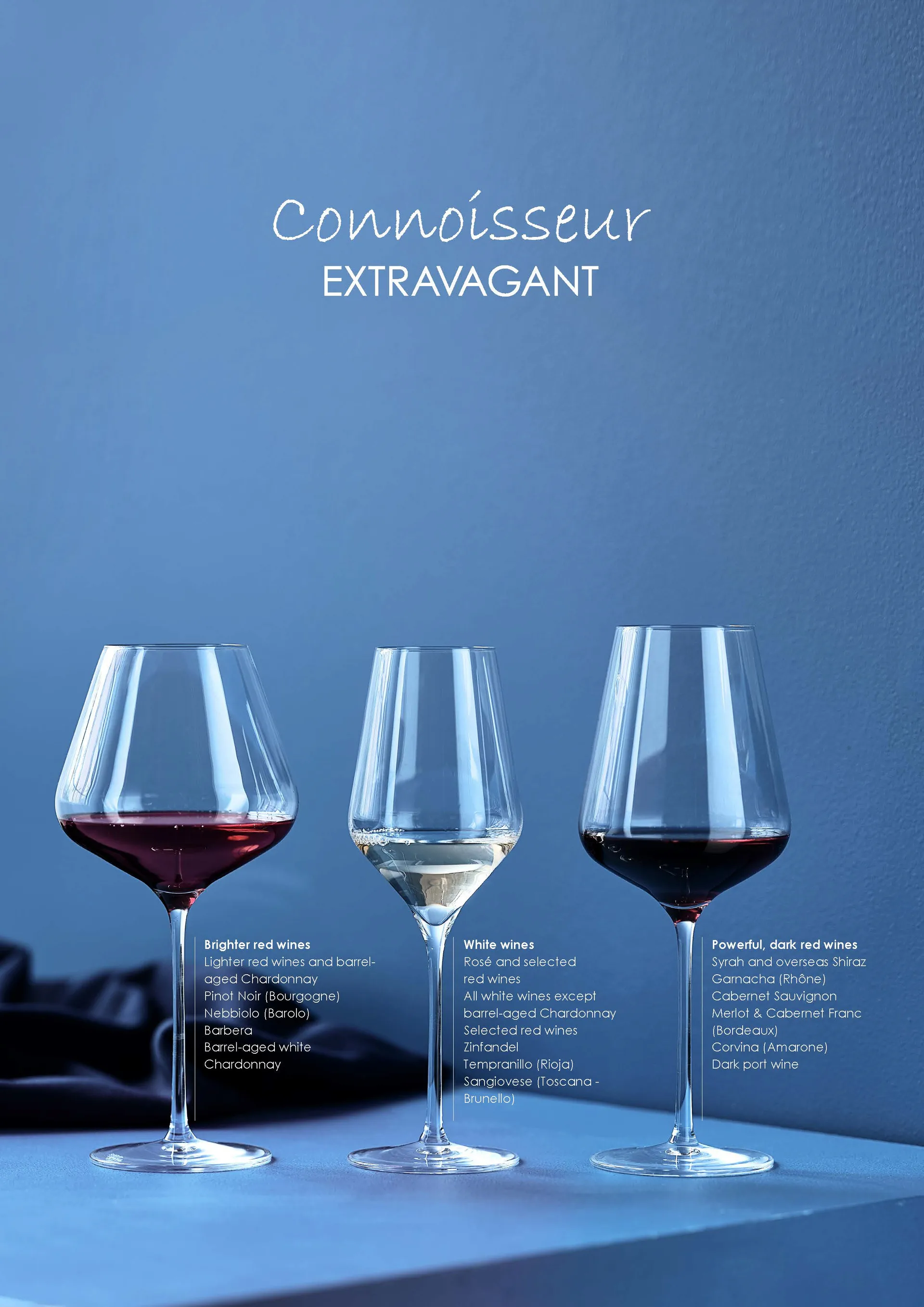 Verre à vin blanc Connoisseur Extravagant 40,5 cl Lot de 4, Clear Aida
