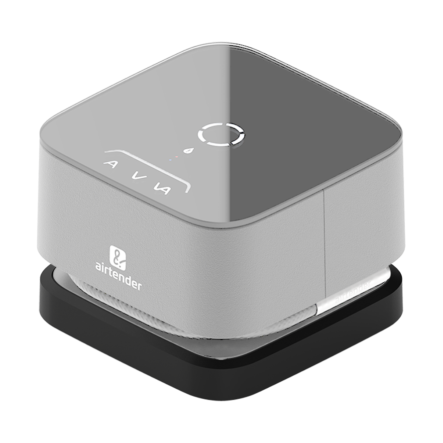 Airtender Batterie Airtender pour scelleuse sous vide électrique 20 cm