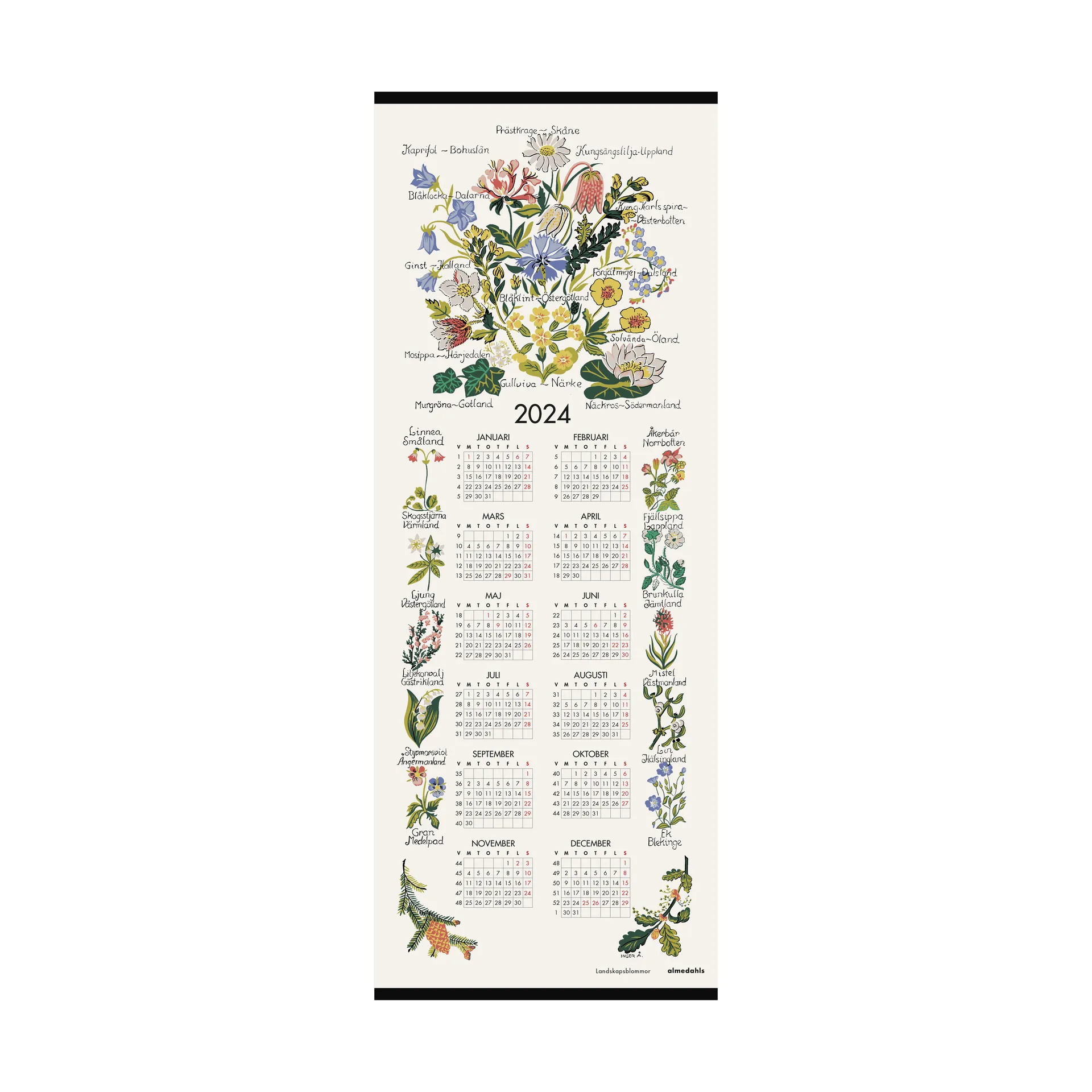 Calendrier fleurs des régions suédoises 2024, 35x90 cm  Almedahls
