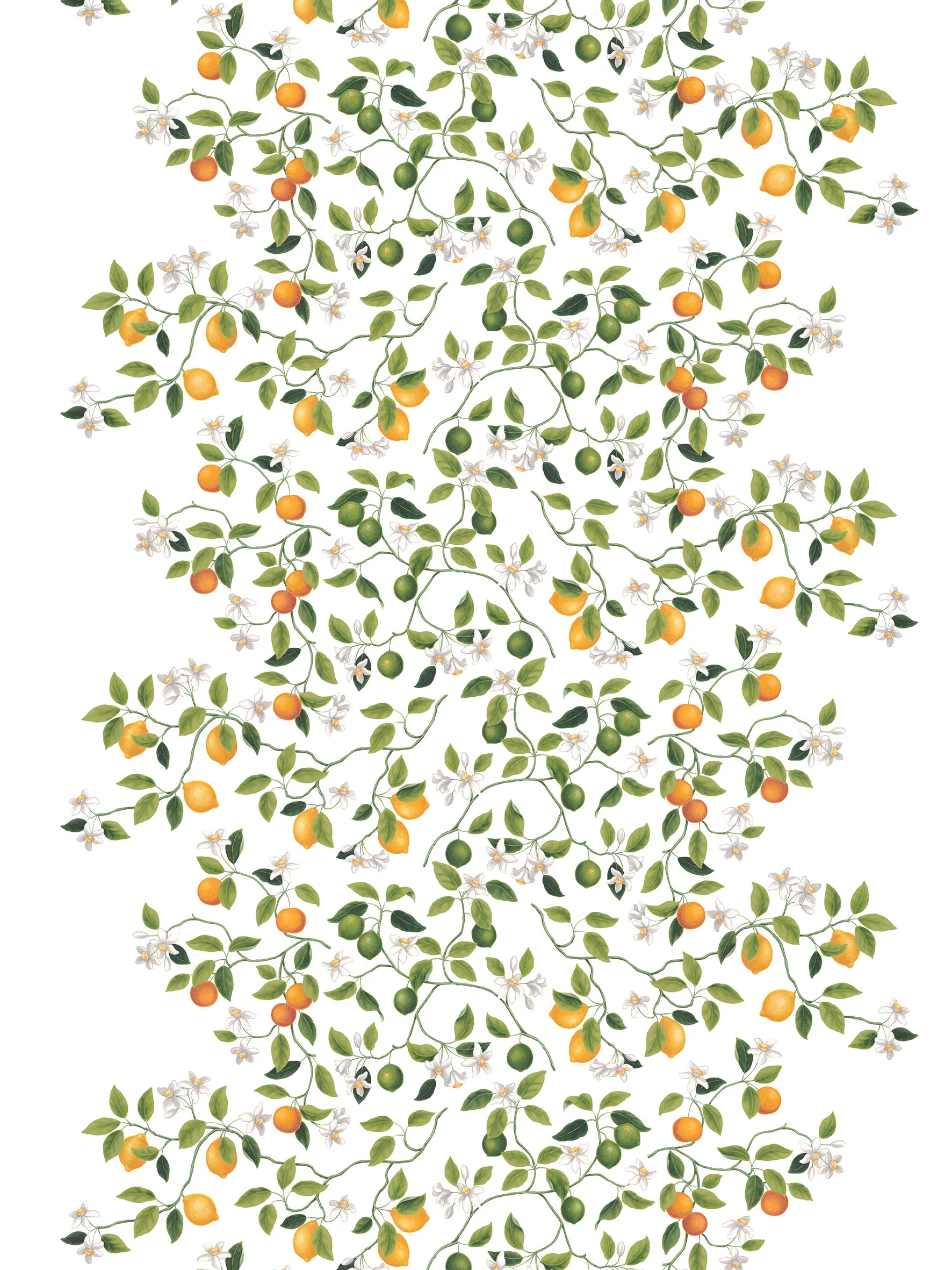 Toile cirée Citrusträdet, Vert-vert Arvidssons Textil