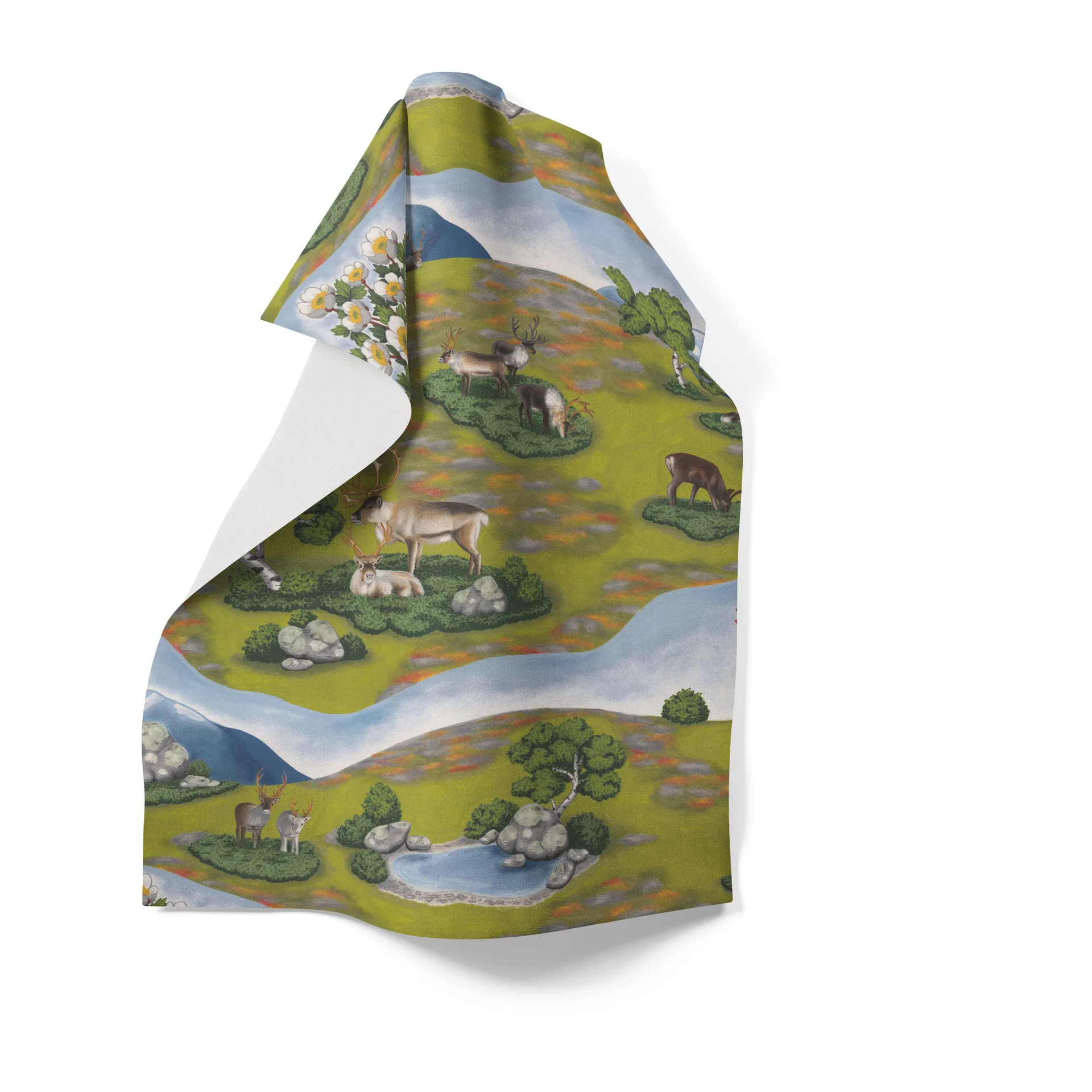 Torchon de cuisine Renvandring 65x85 cm, Vert Arvidssons Textil