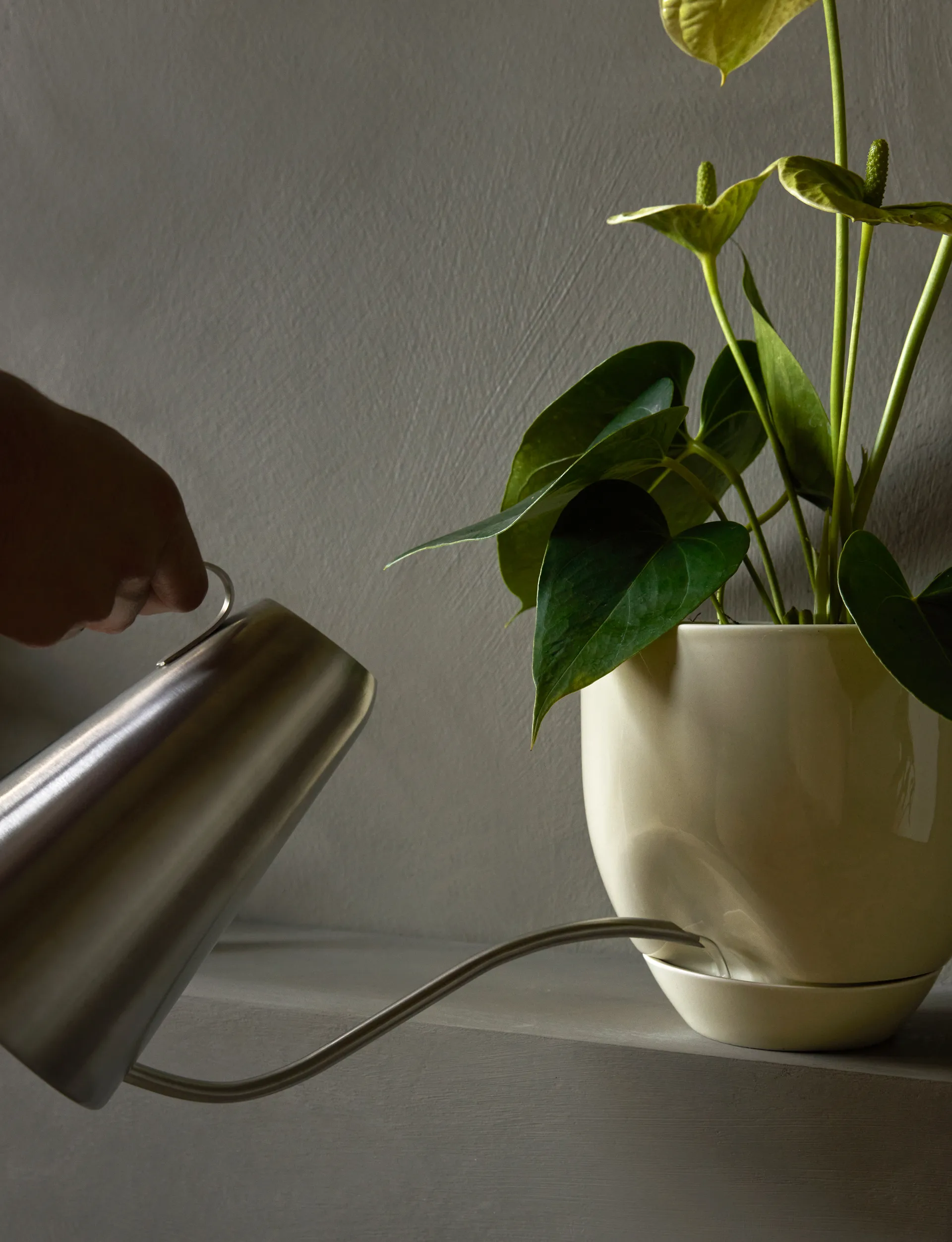 Cache-pot Hydrous Ø20 cm, Ashen Audo Copenhagen