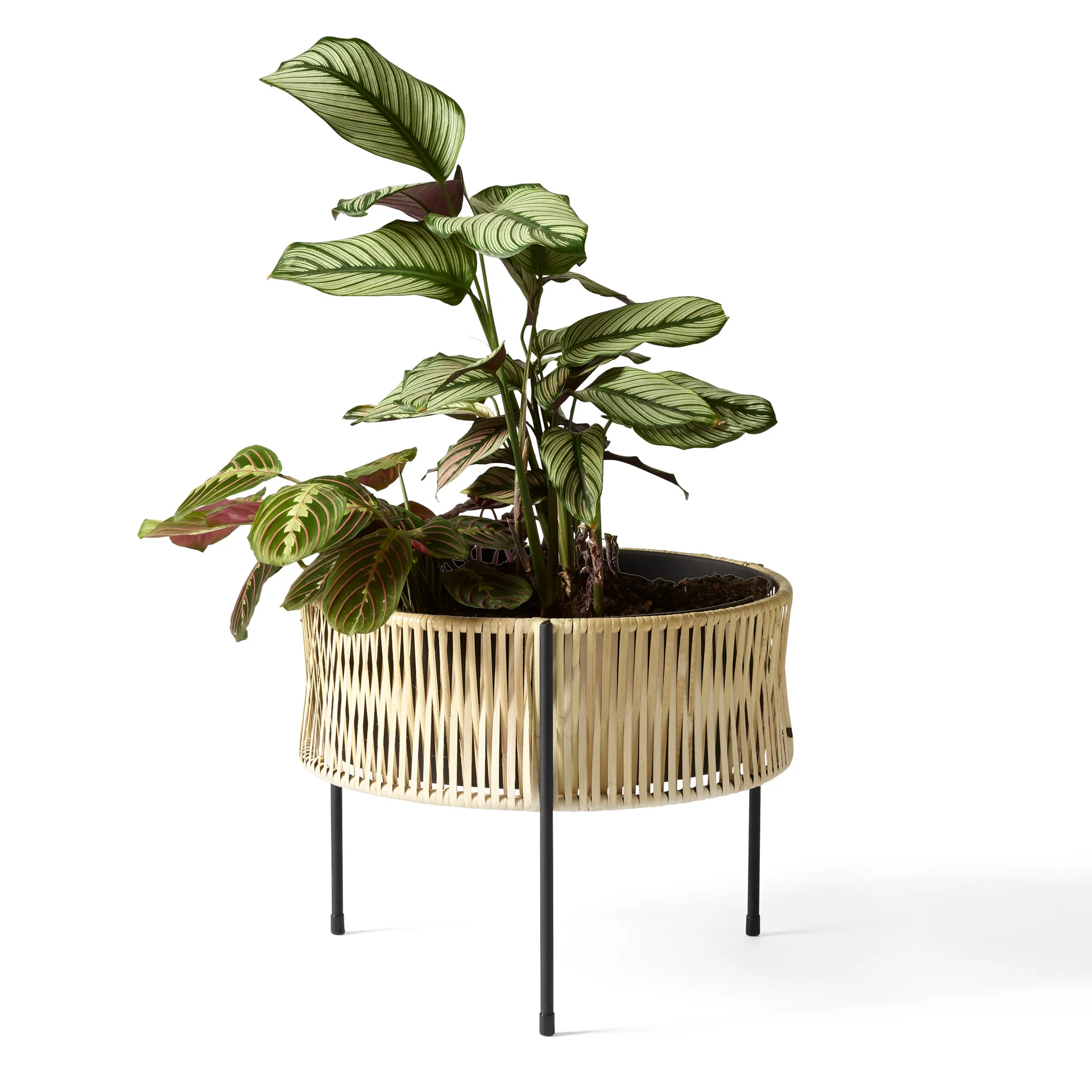 Jardinière Umanoff planter rotin-acier, h32,5 cm Ø41 cm Audo Copenhagen