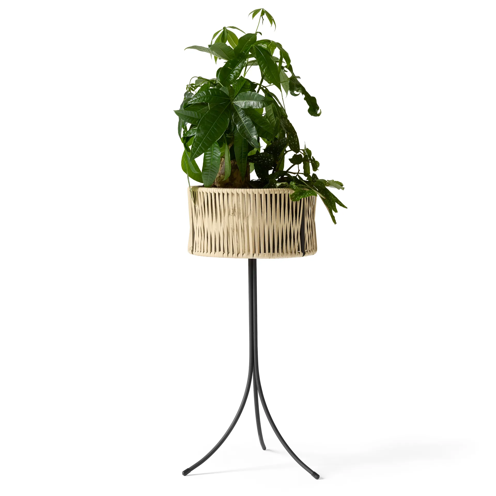 Jardinière Umanoff planter rotin-acier, h69 cm Ø36,5 cm Audo Copenhagen