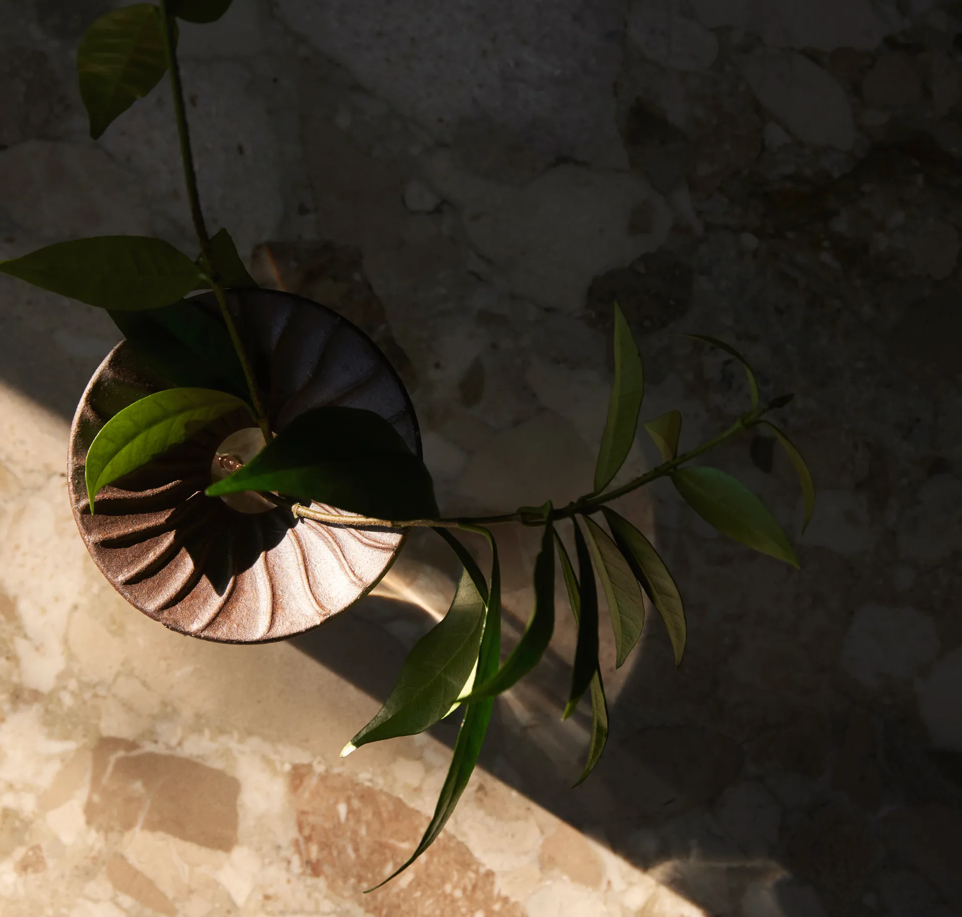 Vase Cresco Propagation, 2 pièces, Marron-transparent Audo Copenhagen