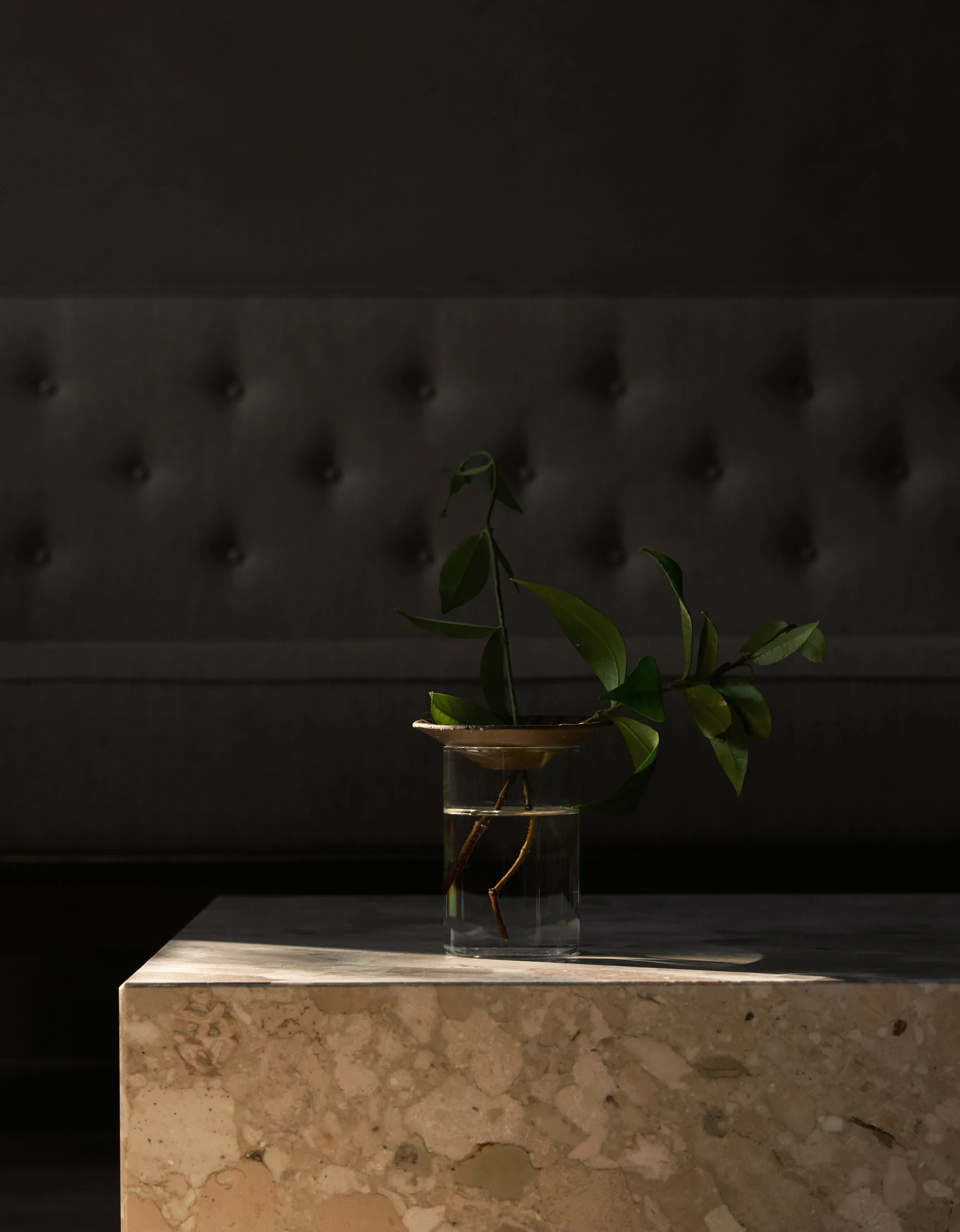 Vase Cresco Propagation, 2 pièces, Marron-transparent Audo Copenhagen