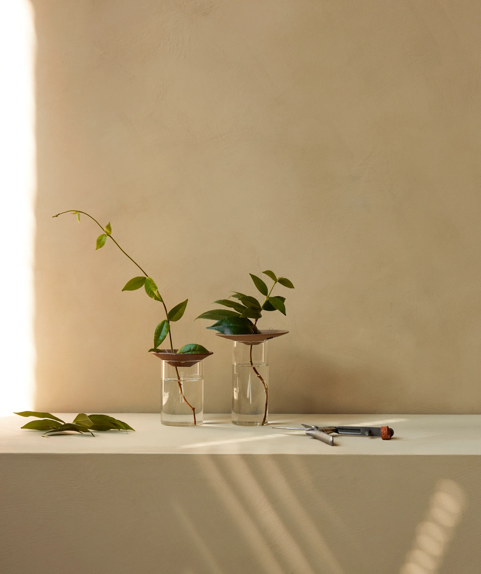 Vase Cresco Propagation, 2 pièces, Marron-transparent Audo Copenhagen