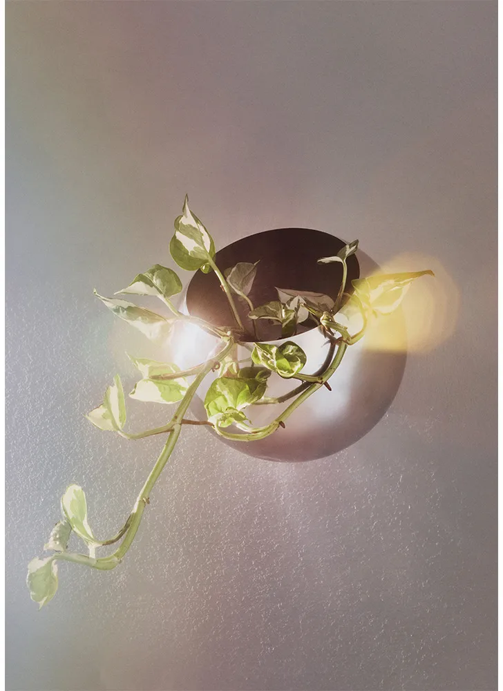 Pot mural Globe Ø17 cm, Argent AYTM