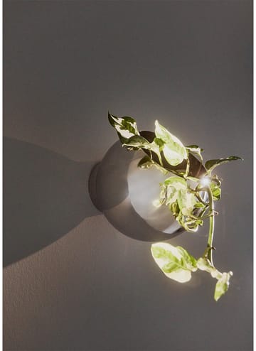 Pot mural Globe Ø21 cm - Argent - AYTM