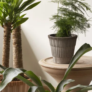 Cache-pot Atlas raw avec soucoupe - Gris, Ø16 cm - Bergs Potter