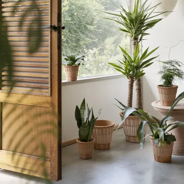 Cache-pot Atlas raw avec soucoupe - Rose, Ø18 cm - Bergs Potter