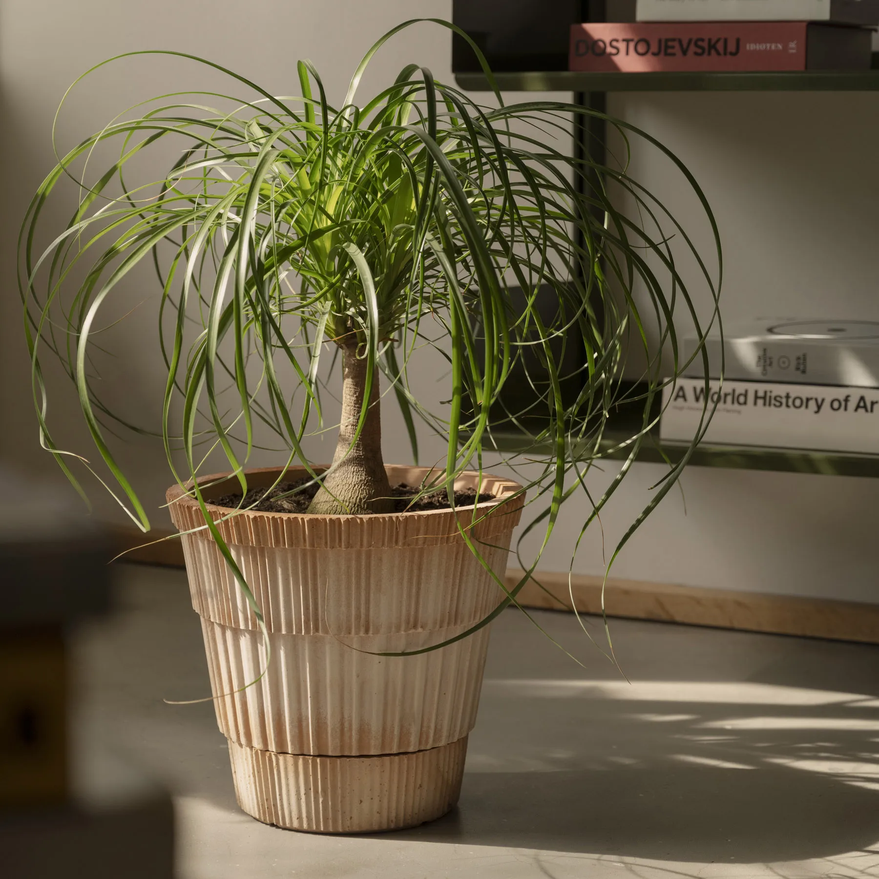 Cache-pot Atlas raw, Rose, Ø18 cm Bergs Potter