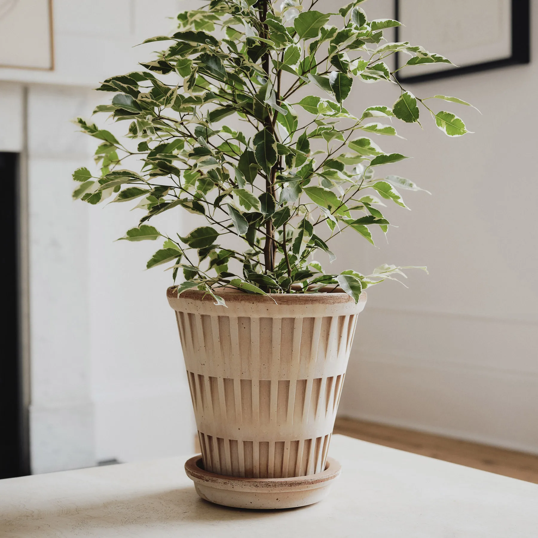 Cache-pot Atlas raw, Rose, Ø21 cm. Bergs Potter