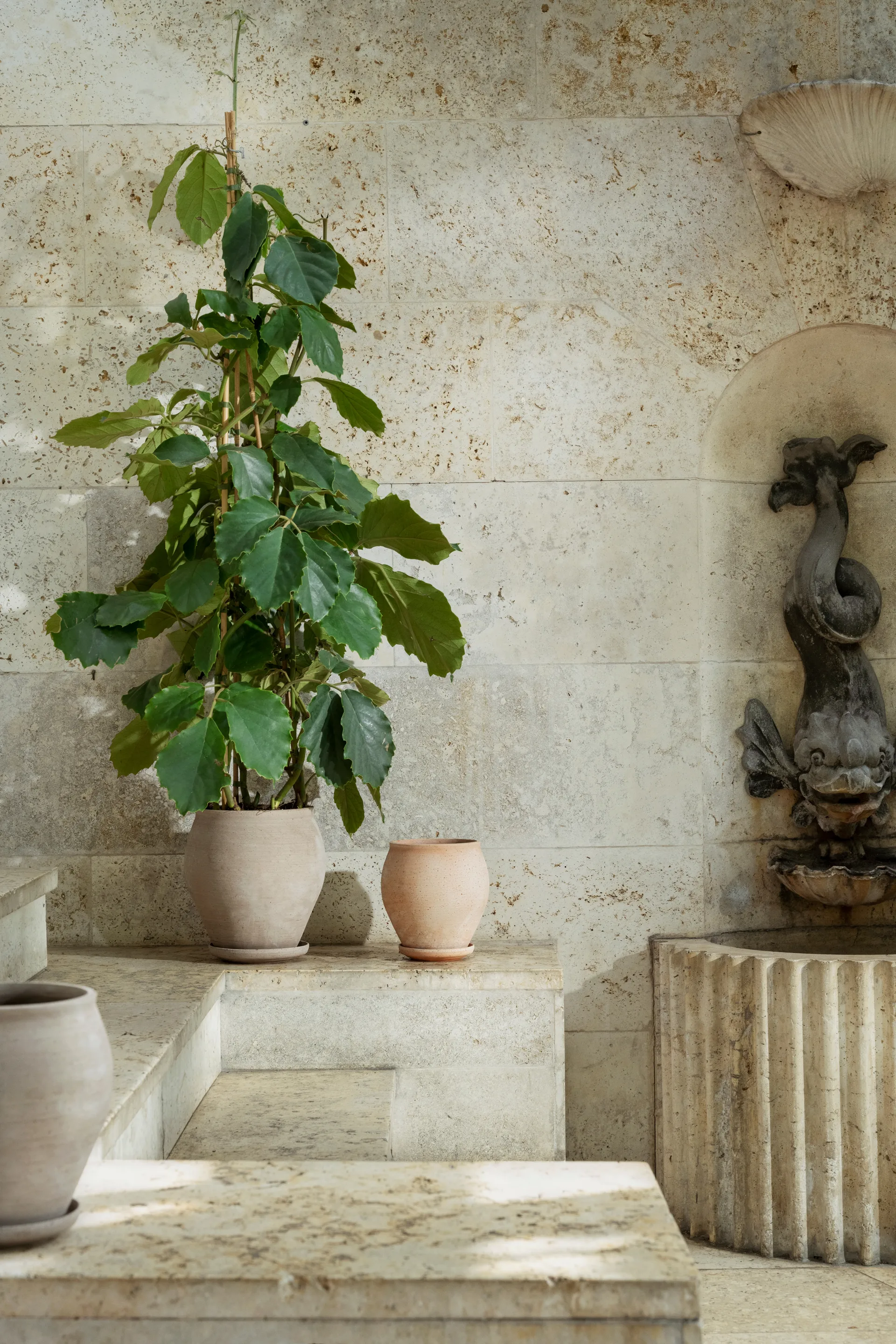 Cache-pot avec soucoupe Delphi 2 pièces, Gris, Ø22 cm, haut Bergs Potter