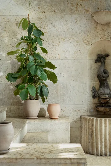 Cache-pot avec soucoupe Delphi 2 pièces - Gris, Ø22 cm, haut - Bergs Potter