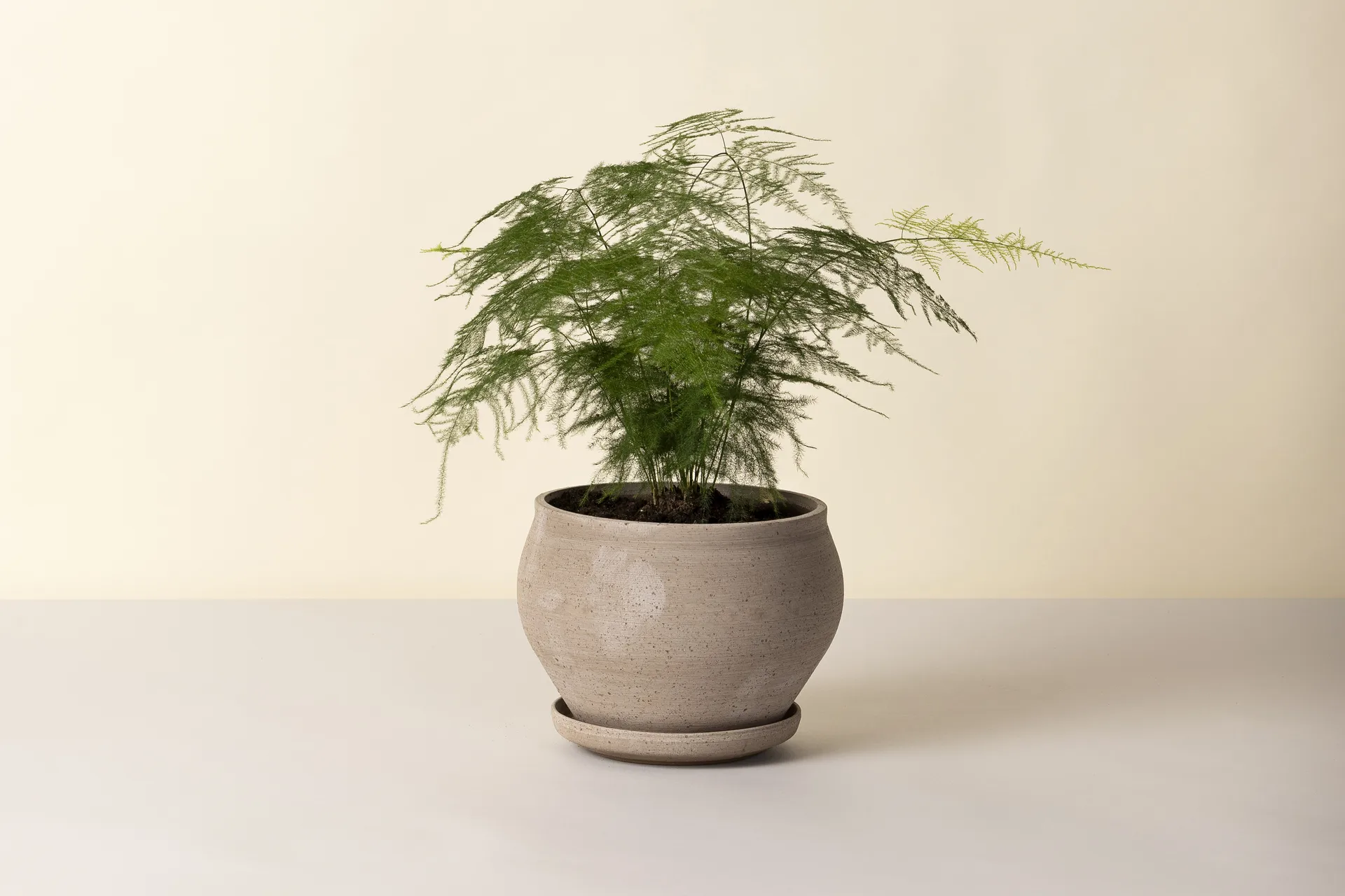 Cache-pot avec soucoupe Delphi 2 pièces, Gris, Ø24 cm, bas Bergs Potter