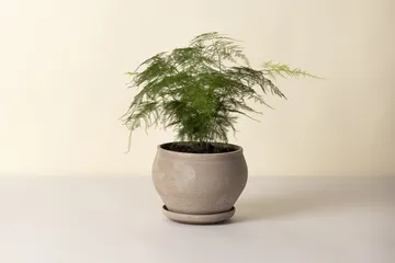 Cache-pot avec soucoupe Delphi 2 pièces - Gris, Ø24 cm, bas - Bergs Potter