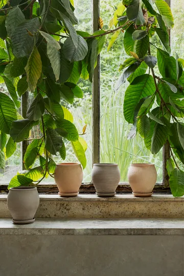 Cache-pot avec soucoupe Delphi 2 pièces - Rose, Ø20 cm - Bergs Potter