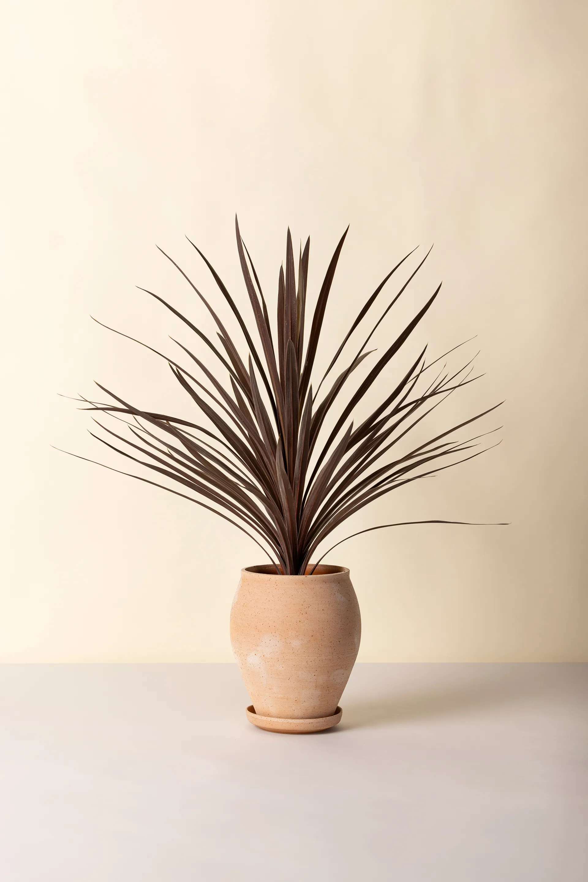 Cache-pot avec soucoupe Delphi 2 pièces, Rose, Ø22 cm, haut Bergs Potter