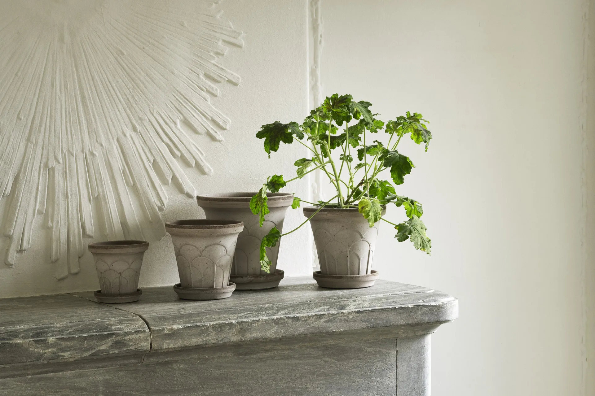 Cache-pot avec soucoupe Fleur 2 pièces, Gris, Ø12 cm Bergs Potter