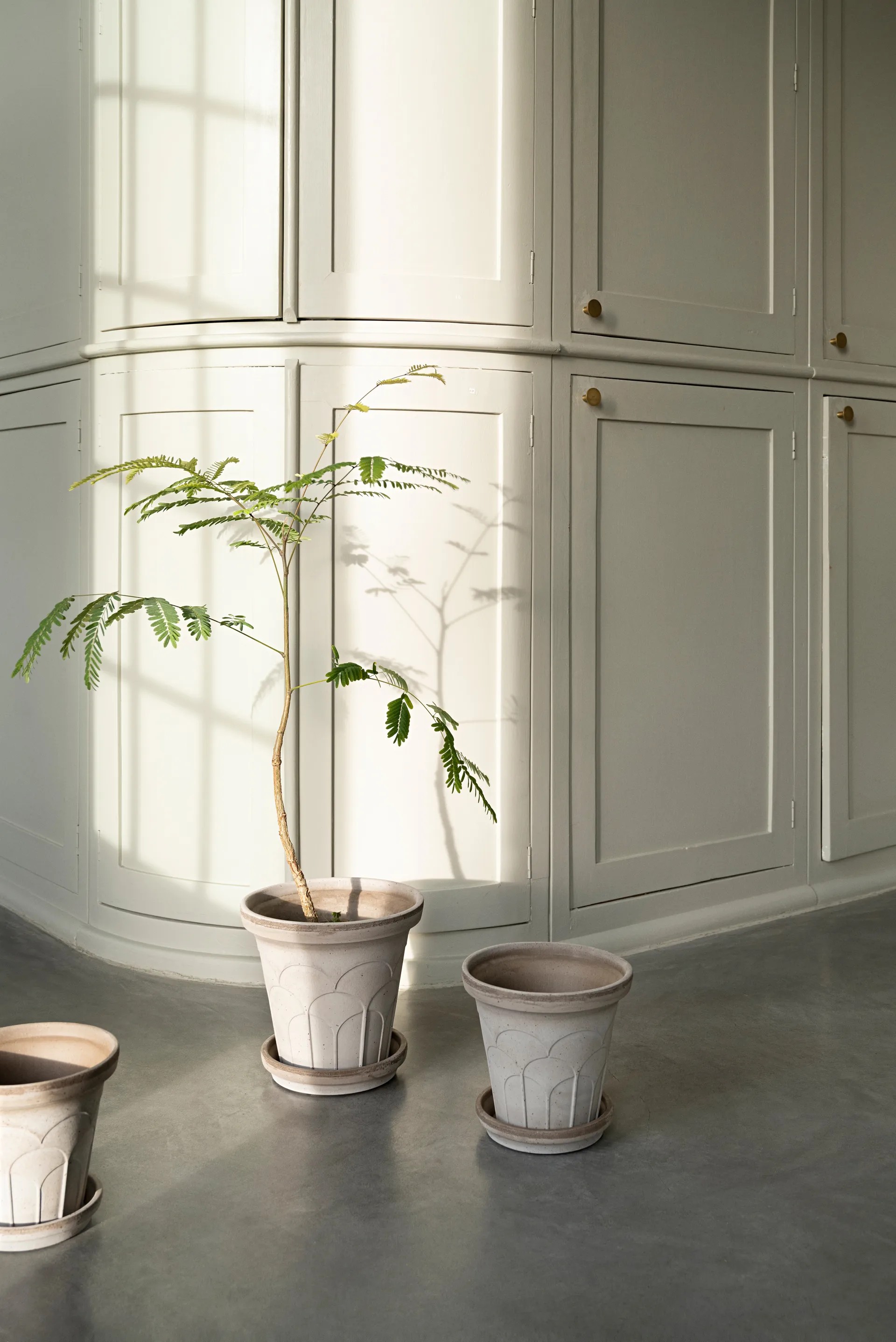 Cache-pot avec soucoupe Fleur 2 pièces, Gris, Ø16 cm Bergs Potter