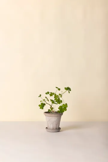 Cache-pot avec soucoupe Fleur 2 pièces - Gris, Ø16 cm - Bergs Potter