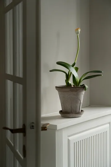 Cache-pot avec soucoupe Fleur 2 pièces - Gris, Ø18 cm - Bergs Potter