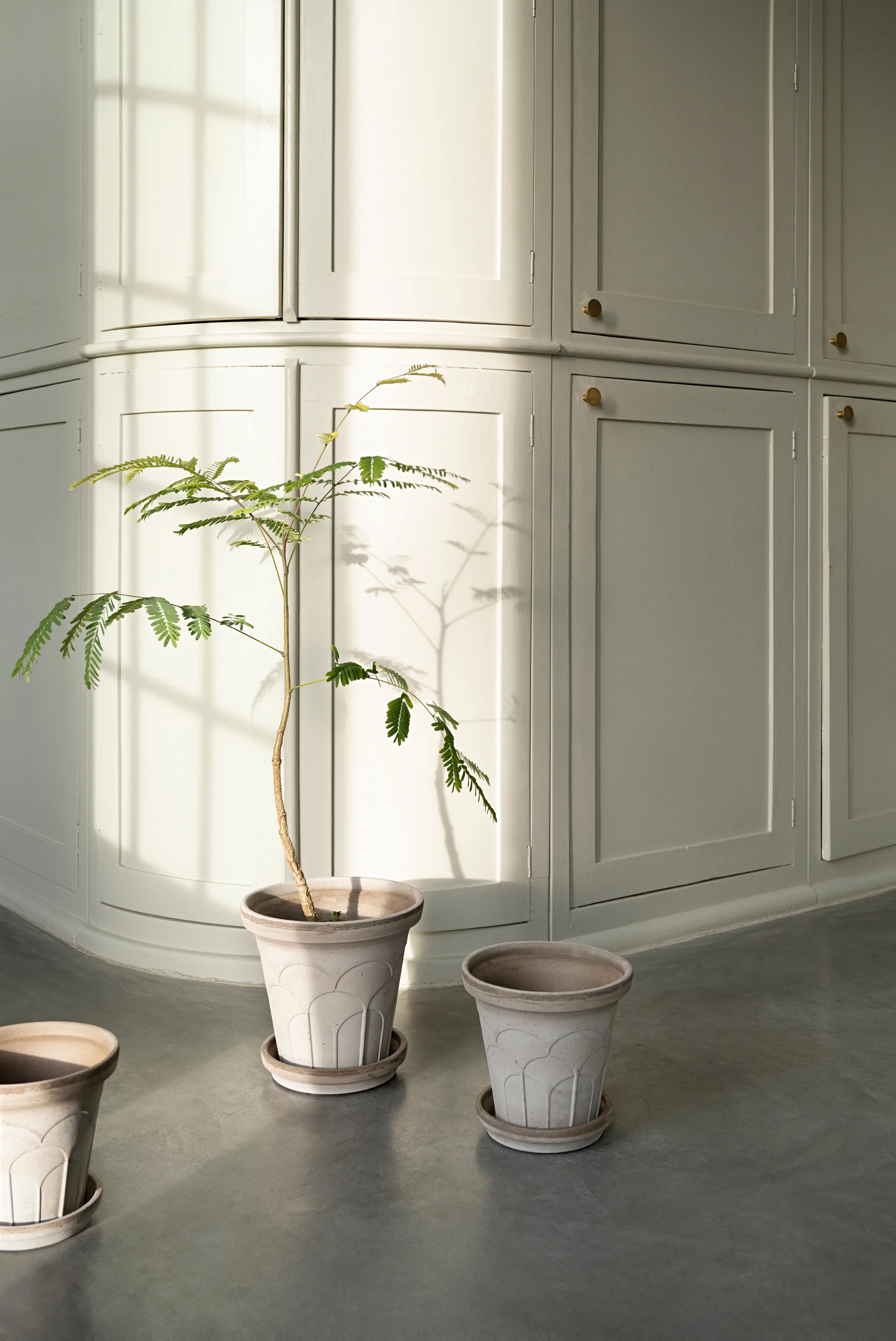 Cache-pot avec soucoupe Fleur 2 pièces, Gris, Ø18 cm Bergs Potter