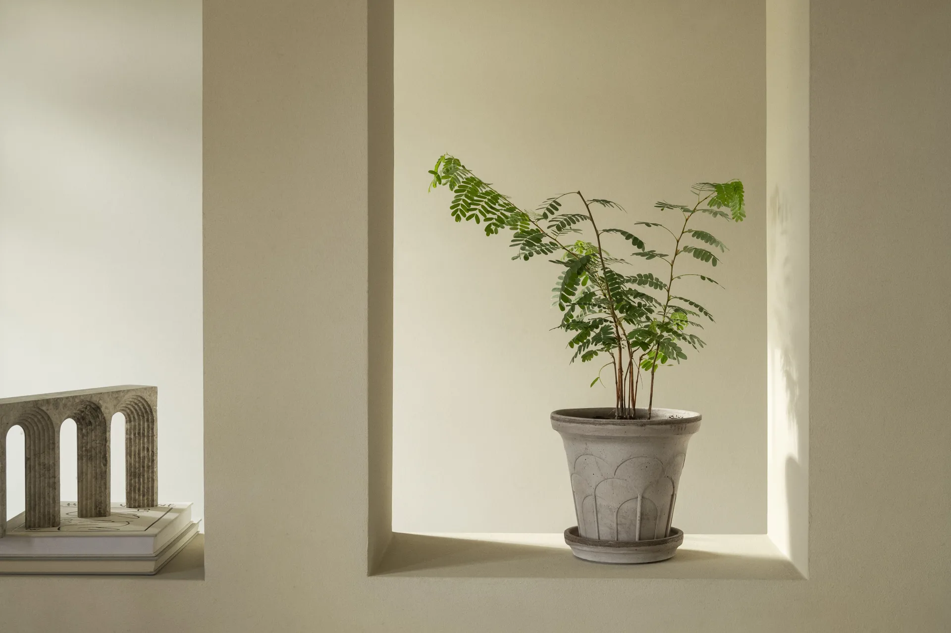 Cache-pot avec soucoupe Fleur 2 pièces, Gris, Ø21 cm Bergs Potter