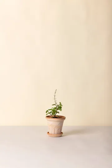 Cache-pot avec soucoupe Fleur 2 pièces - Rose, Ø14 m - Bergs Potter