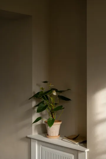 Cache-pot avec soucoupe Fleur 2 pièces - Rose, Ø16 cm - Bergs Potter