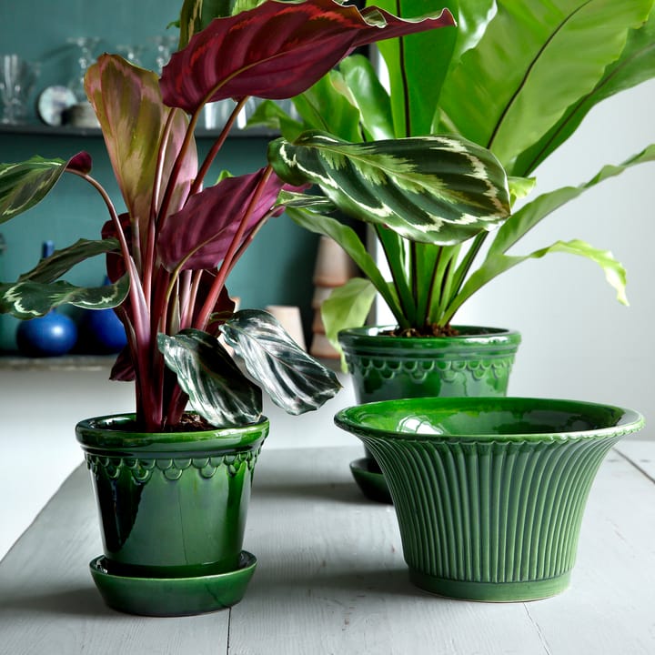 Cache-pot émaillé Daisy Ø25 cm, Vert Bergs Potter