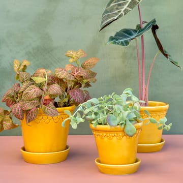 Cache-pot émaillé Københavner Ø10 cm - Jaune - Bergs Potter