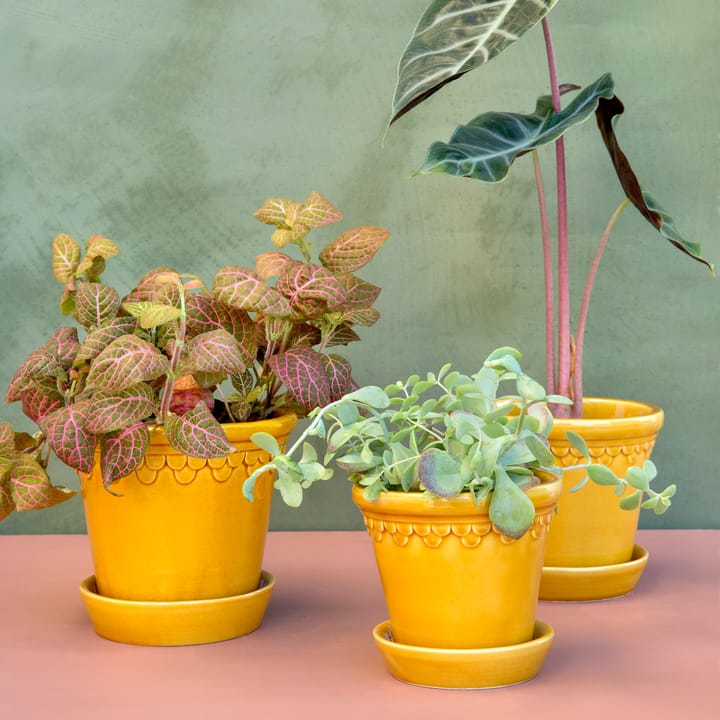 Cache-pot émaillé Københavner Ø10 cm, Jaune Bergs Potter