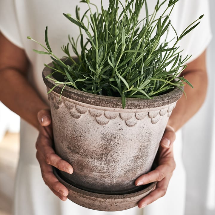 Cache-pot émaillé Københavner Ø16 cm, Gris Bergs Potter