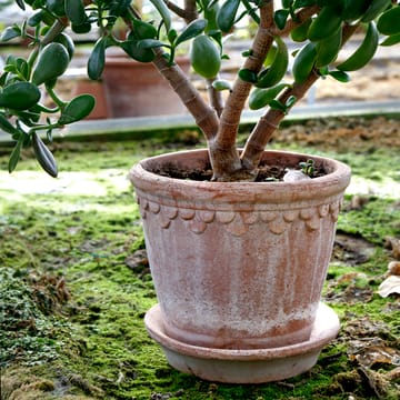 Cache-pot émaillé Københavner Ø16 cm - Rose - Bergs Potter
