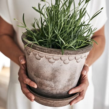 Cache-pot émaillé Københavner Ø21 cm - Gris - Bergs Potter