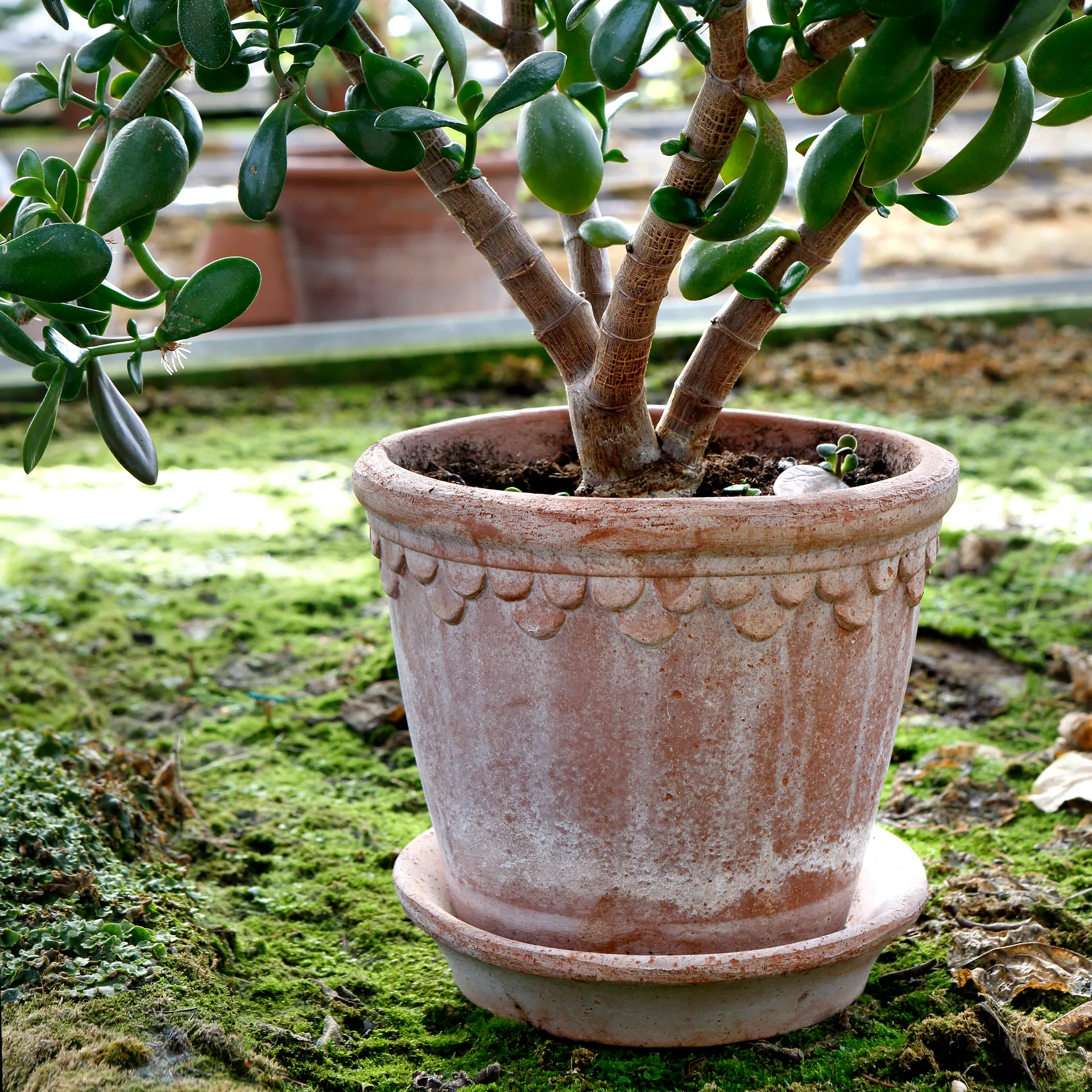 Cache-pot émaillé Københavner Ø21 cm, Rose Bergs Potter