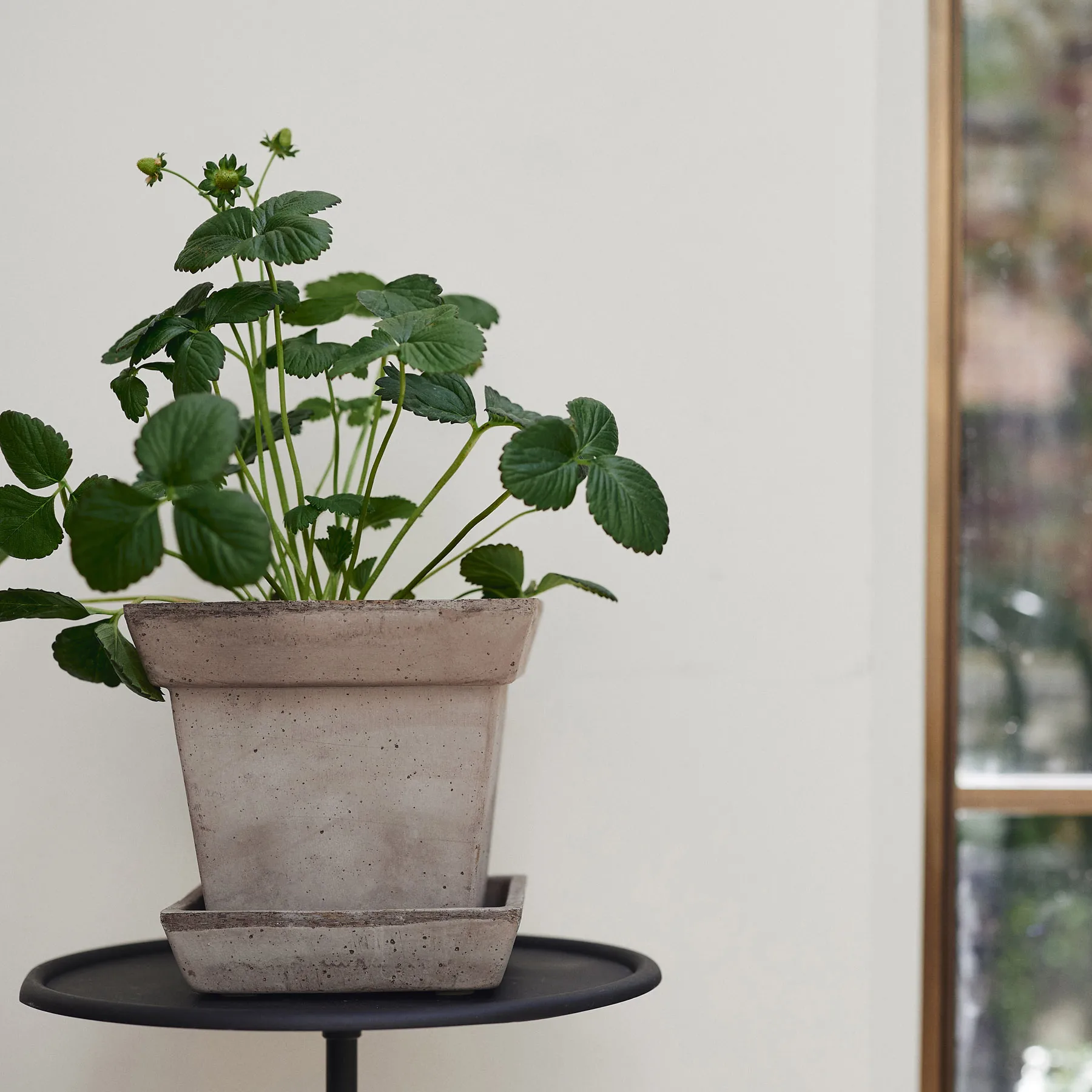 Cache-pot Gaia raw, Gris, Ø21 cm Bergs Potter