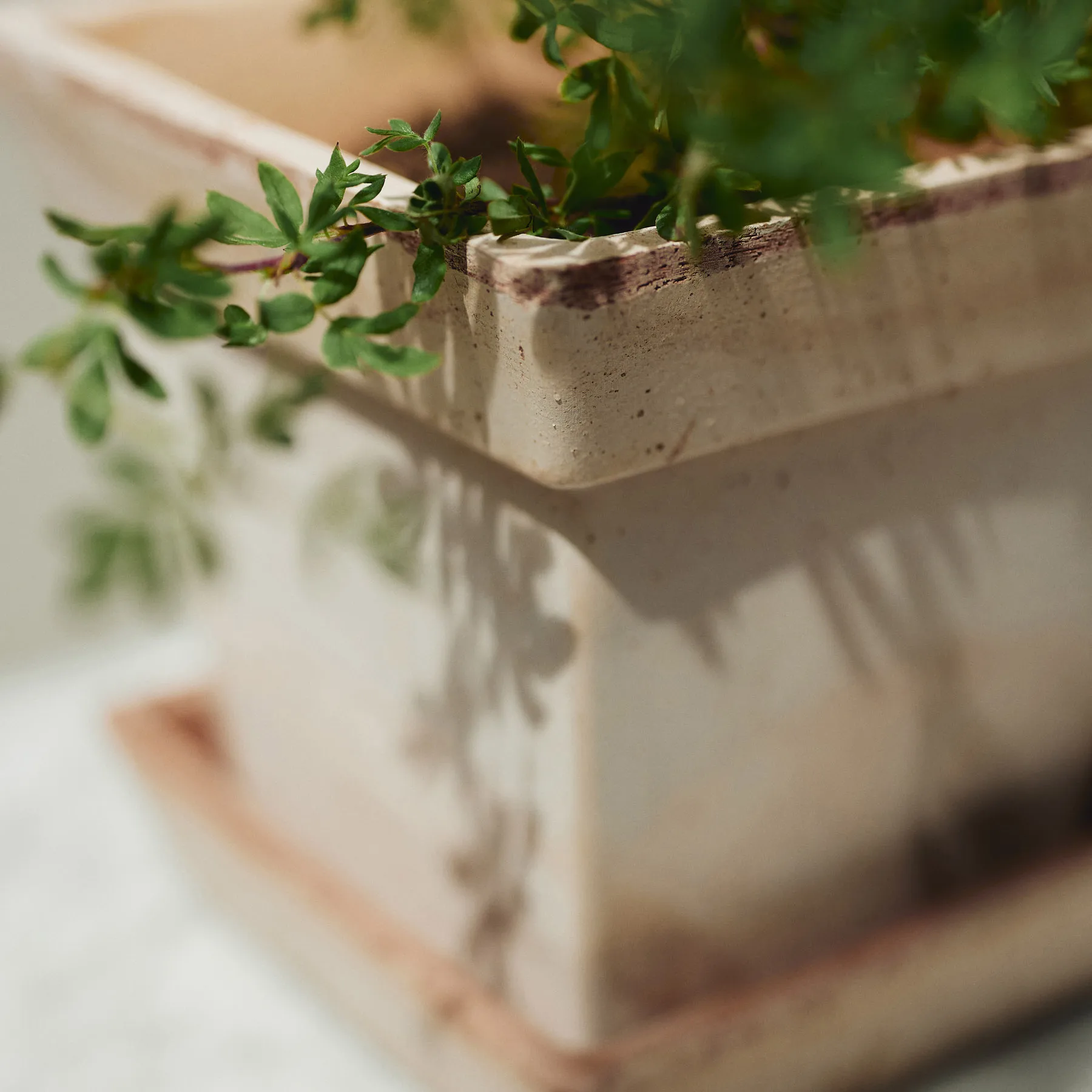 Cache-pot Gaia raw, Rose, Ø21 cm Bergs Potter