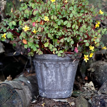Cache-pot Københavner Ø18 cm - Gris - Bergs Potter