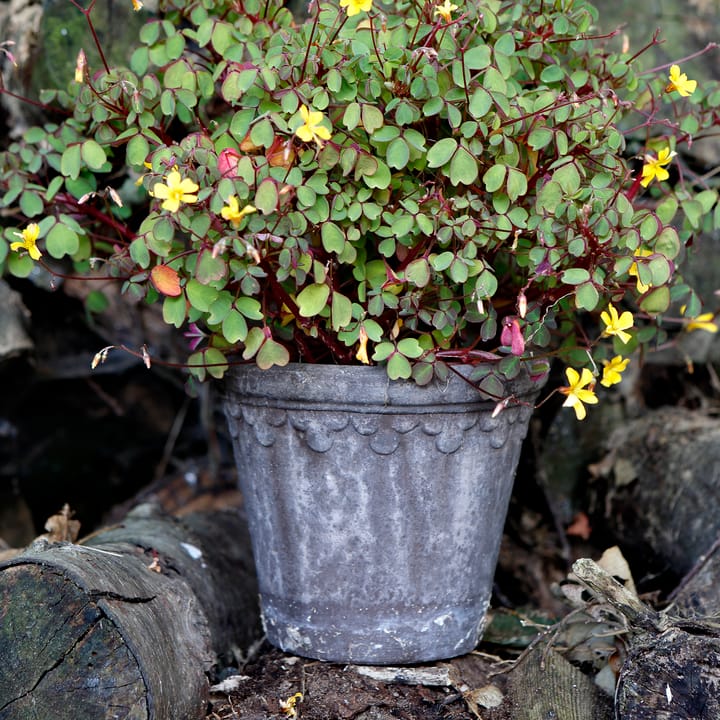 Cache-pot Københavner Ø18 cm, Gris Bergs Potter