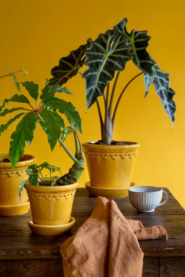 Pot de fleurs émaillé Köpenhamn - Jaune, Ø21 cm - Bergs Potter